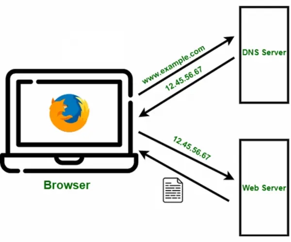 1659694355017.webp.jpg 1659694355017.webp.jpg
